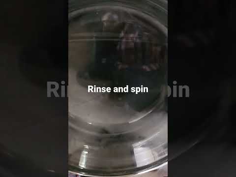 spin rise casino no deposit bonus
