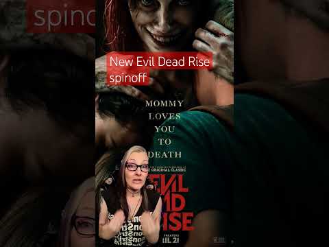 spin rise casino